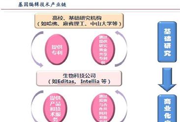 测序公司排名_公司门头拾光序(3)