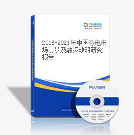 2016-2021年中国热电市场前景及融资战略研究报告