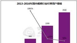 2015中国视频行业付费市场用户规模分析