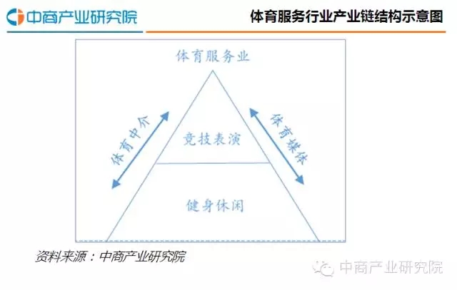 2016年中国体育服务行业发展分析报告