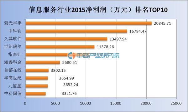 收入证明范本_支出收入表格_信息服务收入(2)