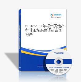 2016-2021年梅州房地产行业市场深度调研咨询报告