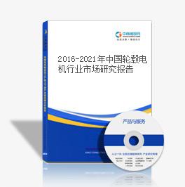 2016-2021年中国轮毂电机行业市场研究报告