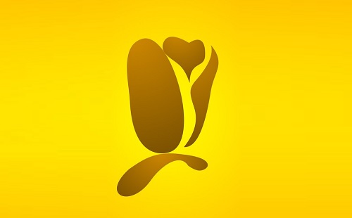 网络剧数据分析营销平台骨朵传媒获1500万Pr