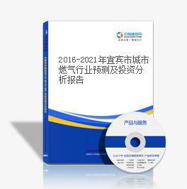 2019-2023年宜宾市城市燃气行业预测及投资分析报告