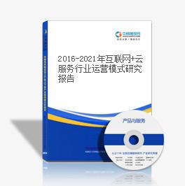 2019-2023年互聯網+云服務行業運營模式研究報告