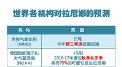 拉尼娜脚步临近 大豆白糖或中招