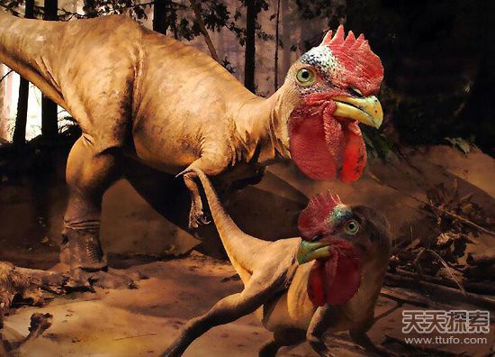 科学家在实验室造恐龙 再现恐龙时代?