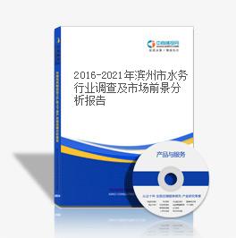 2019-2023年滨州市水务行业调查及市场前景分析报告