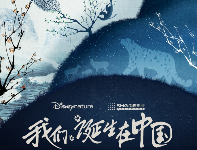 《我们诞生在中国》电影票房最新统计(截至8月