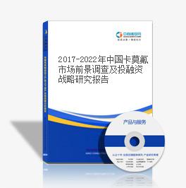 2019-2023年中國卡莫氟市場前景調(diào)查及投融資戰(zhàn)略研究報(bào)告