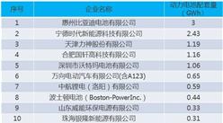 2015年度中国动力锂离子电池前20强企业名单
