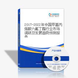 2019-2023年中國甲基丙烯酸六氟丁酯行業市場調研及發展趨勢預測報告