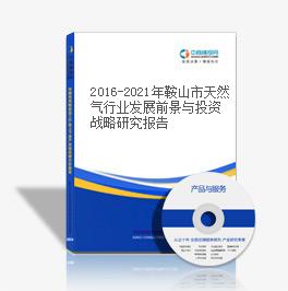 2019-2023年鞍山市天然气行业发展前景与投资战略研究报告