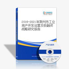 2019-2023年荆州市工业地产开发运营及投融资战略研究报告