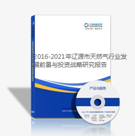 2019-2023年辽源市天然气行业发展前景与投资战略研究报告