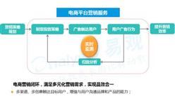 2016 中国电商数字营销市场专题报告