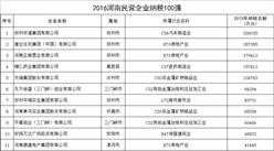 2016河南民营企业纳税100强排行榜（全名单）