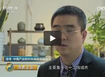 央视财经频道采访中商产业研究院高级咨询顾问连伟