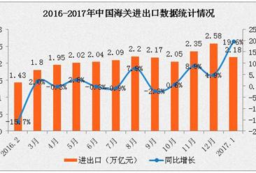 2017年1月全国货物贸易进出口数据分析：进出口总值增长19.6%