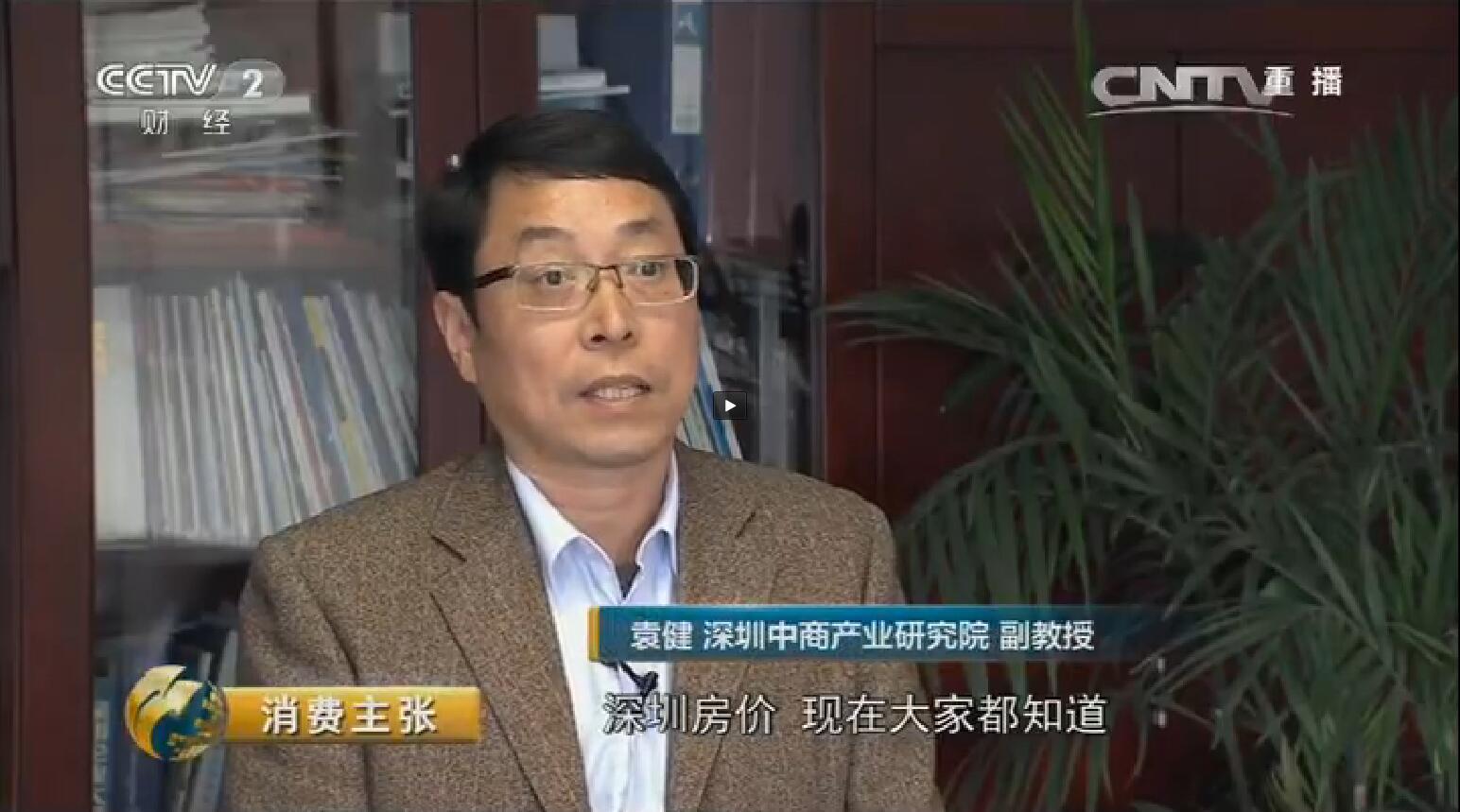 央視財經頻道采訪中商產業研究院袁健教授