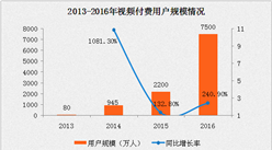 2016中國視頻付費市場規模突破100億 同比增長99.6%（附圖表）