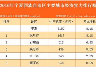 2016年宁夏主要城市经济实力排行榜