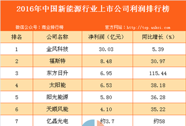 2016年中国新能源行业上市公司利润排行榜