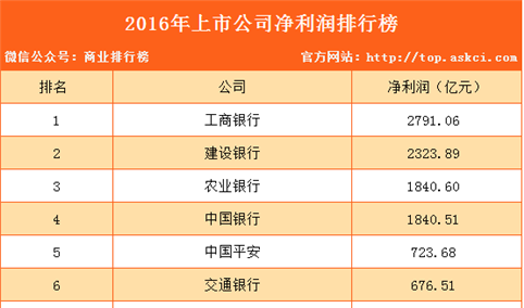 2016年上市公司净利润排行榜（TOP100）