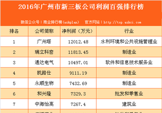 2016年广州市新三板公司利润百强排行榜