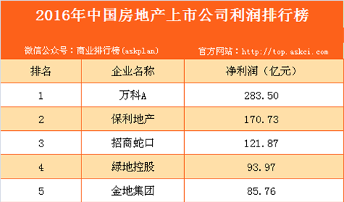 2016年中国房地产上市公司利润排行榜