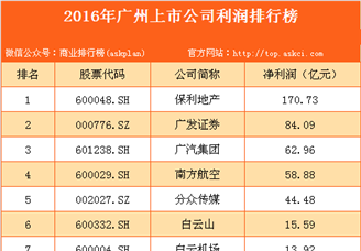 2016年广州上市公司利润排行榜