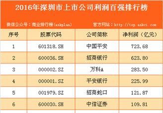 2016年深圳市上市公司利润百强排行榜