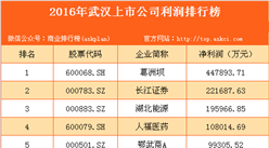 2016年武漢市上市公司利潤排行榜