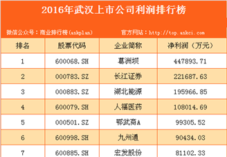 2016年武汉市上市公司利润排行榜