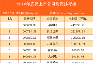 2016年武漢市上市公司利潤排行榜