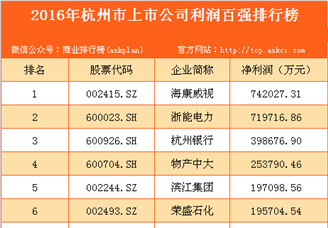 2016年杭州市上市公司利润百强排行榜