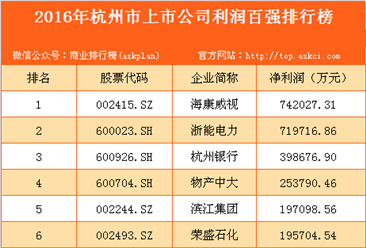 2016年杭州市上市公司利潤百強排行榜