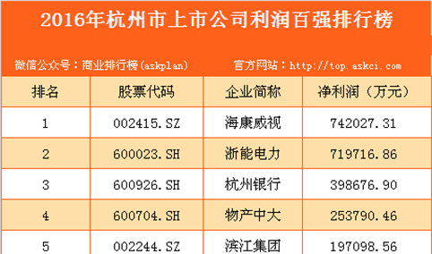 2016年杭州市上市公司利润百强排行榜