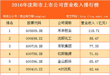 2016年沈阳市上市公司营业收入排行榜