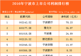 2016年宁波市上市公司利润排行榜