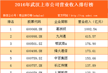 2016年武漢市上市公司營業收入排行榜