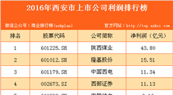 2016年西安市上市公司利润排行榜