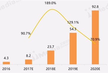 2017年中国互联网汽车分时租赁市场分析报告