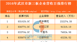 2016年武漢市新三板企業(yè)營收百強排行榜