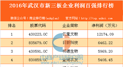 2016年武漢市新三板企業(yè)利潤百強排行榜