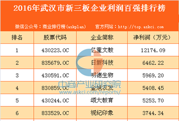 2016年武漢市新三板企業利潤百強排行榜