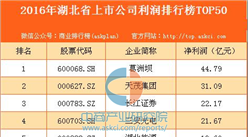 2016年湖北省上市公司利润排行榜