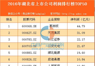 2016年湖北省上市公司利润排行榜