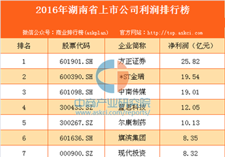 2016年湖南省上市公司利润排行榜